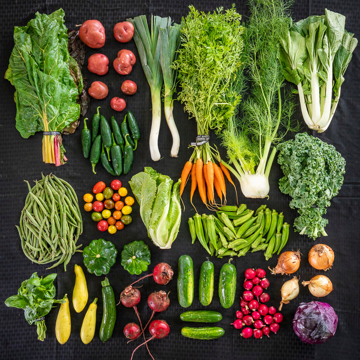 Every-Other-Week Produce Box - Fall 2024