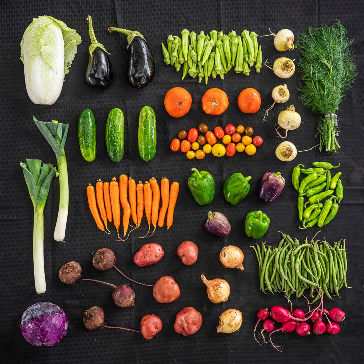 Every-Other-Week Produce Box - Fall 2024