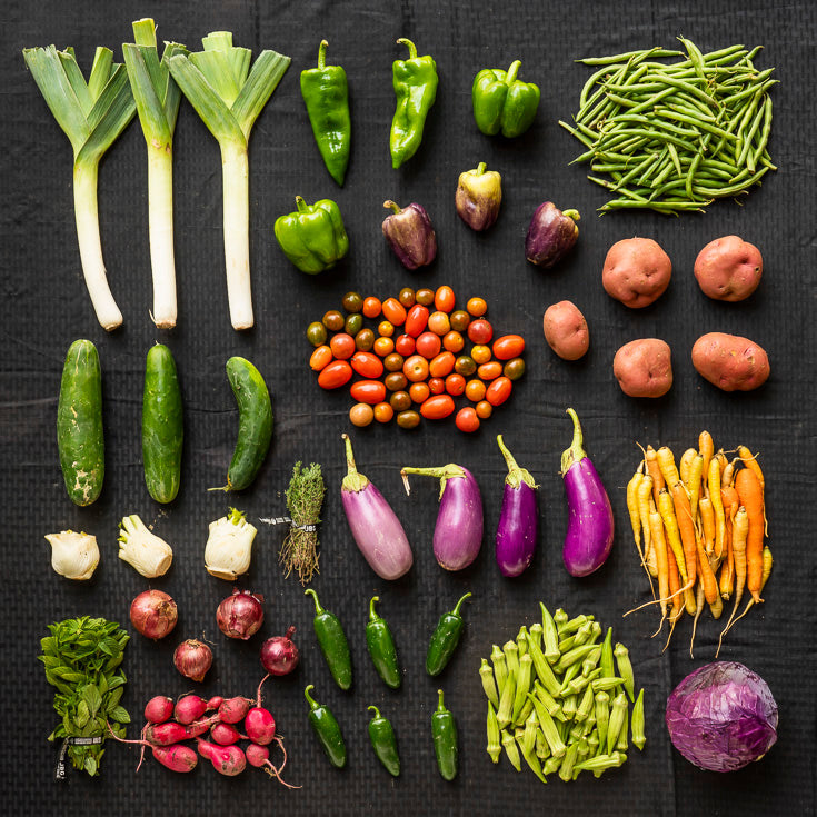 Every-Other-Week Produce Box - Fall 2024