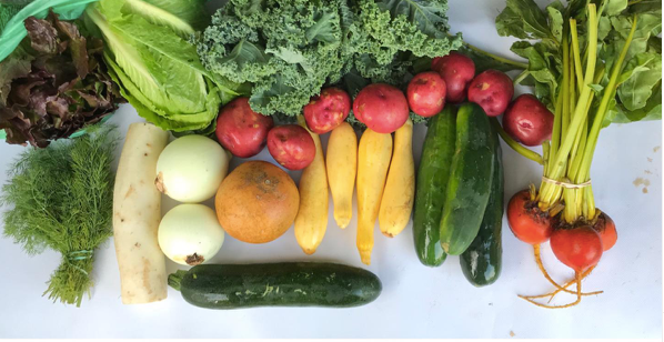 Weekly Produce Box - Fall 2024