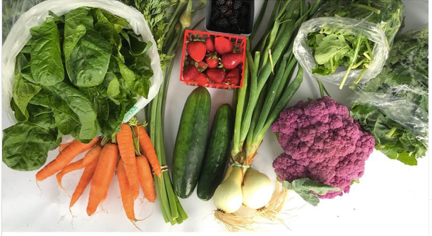 Weekly Produce Box - Fall 2024