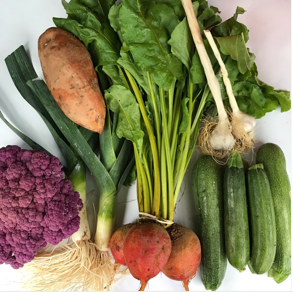 Every-Other-Week Produce Box - Fall 2024