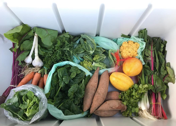 Weekly Produce Box - Fall 2024