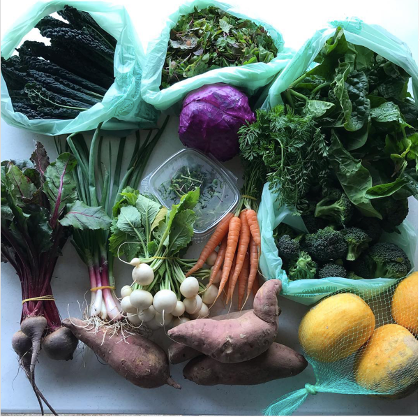 Weekly Produce Box - Fall 2024